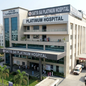 mutton biryani aromatic mutton biryani layered (7)