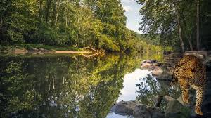 download 2026 04 03t144939.215